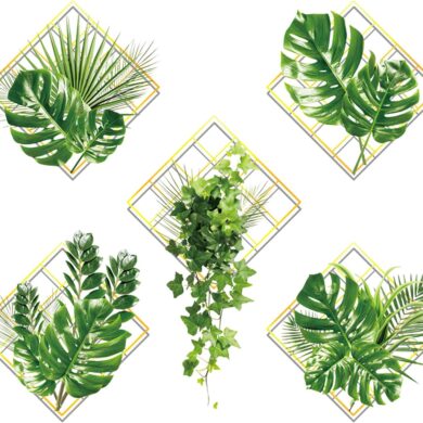 3D Green Ivy Wall Stickers – Lifelike Plant Design for Home Walls