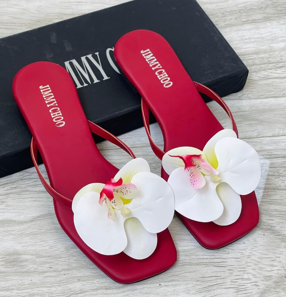 Whatsapp image 2025 10 22 at 2.12.53 pm